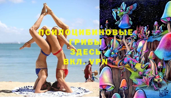 экстази Арсеньев
