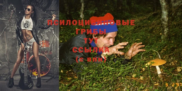 экстази Баксан