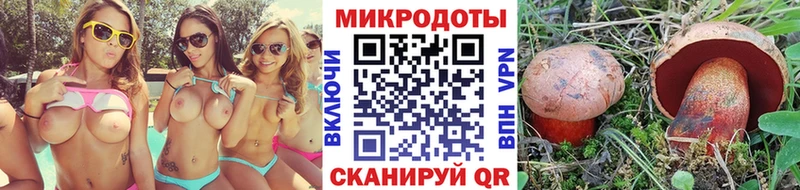 Псилоцибиновые грибы мухоморы  Сортавала 